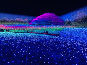 なばなの里に投稿された画像（2020/12/12）