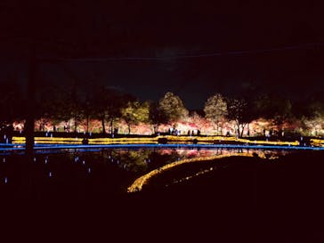 なばなの里に投稿された画像（2020/12/12）