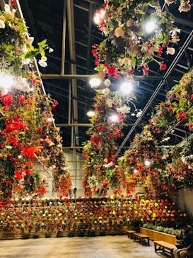 なばなの里に投稿された画像（2020/12/12）