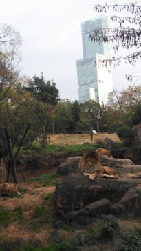 天王寺動物園に投稿された画像（2020/12/12）