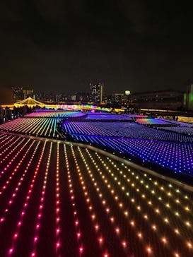 東京メガイルミに投稿された画像（2020/12/12）