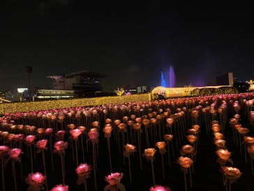 東京メガイルミに投稿された画像（2020/12/12）