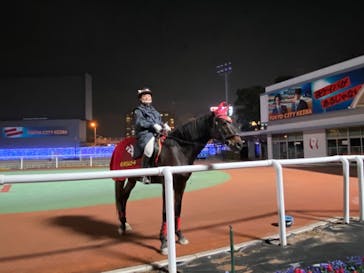 東京メガイルミに投稿された画像（2020/12/12）