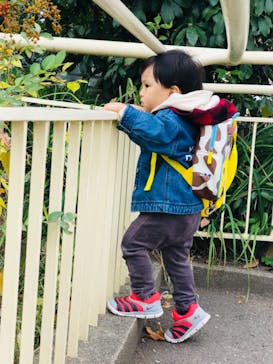 天王寺動物園に投稿された画像（2020/12/12）