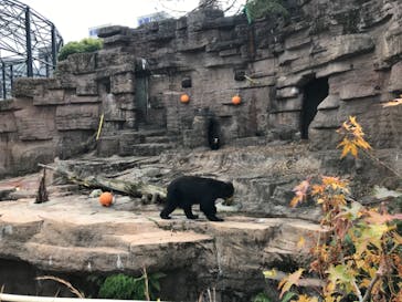 天王寺動物園に投稿された画像（2020/12/12）