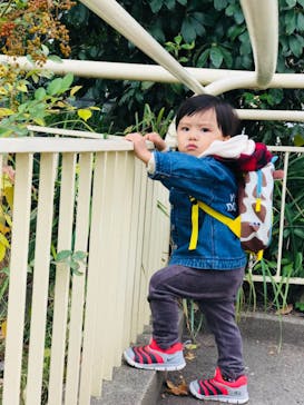 天王寺動物園に投稿された画像（2020/12/12）