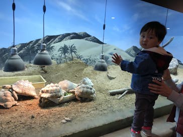 天王寺動物園に投稿された画像（2020/12/12）