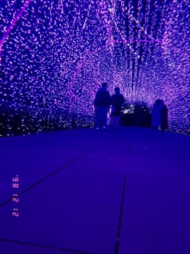 江の島シーキャンドルに投稿された画像（2020/12/12）