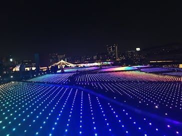 東京メガイルミに投稿された画像（2020/12/12）