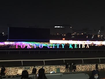 東京メガイルミに投稿された画像（2020/12/12）