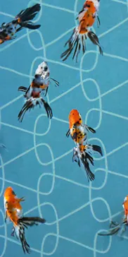 すみだ水族館に投稿された画像（2020/12/12）