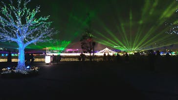 東京メガイルミに投稿された画像（2020/12/12）