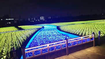 東京メガイルミに投稿された画像（2020/12/12）