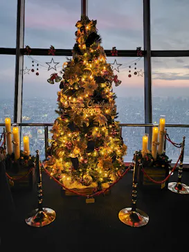 東京スカイツリーに投稿された画像（2020/12/12）