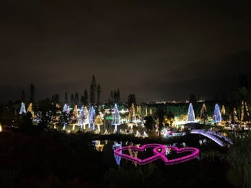 美らヤシパークオキナワ・東南植物楽園に投稿された画像（2020/12/12）