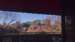 ホテル椿山荘東京 ロビーラウンジ「ル・ジャルダン」に投稿された画像（2020/12/12）