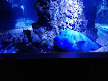 すみだ水族館に投稿された画像（2020/12/12）