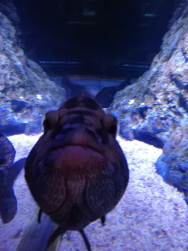 すみだ水族館に投稿された画像（2020/12/12）