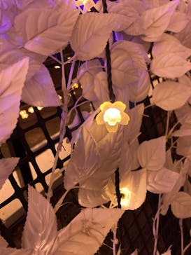 東京メガイルミに投稿された画像（2020/12/12）