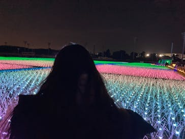 東京メガイルミに投稿された画像（2020/12/12）