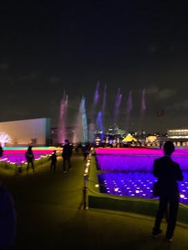 東京メガイルミに投稿された画像（2020/12/12）