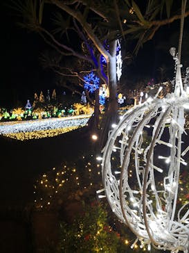 美らヤシパークオキナワ・東南植物楽園に投稿された画像（2020/12/12）