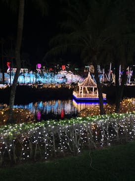 美らヤシパークオキナワ・東南植物楽園に投稿された画像（2020/12/12）