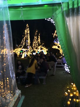 美らヤシパークオキナワ・東南植物楽園に投稿された画像（2020/12/12）