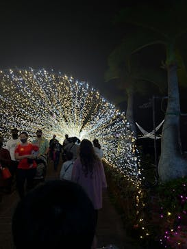 美らヤシパークオキナワ・東南植物楽園に投稿された画像（2020/12/12）