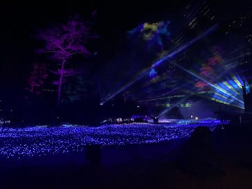 KYOTO ILLUMINATION SYNESTHESIA HILLS るり渓温泉に投稿された画像（2020/12/12）