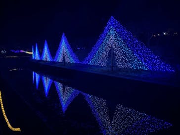 KYOTO ILLUMINATION SYNESTHESIA HILLS るり渓温泉に投稿された画像（2020/12/12）