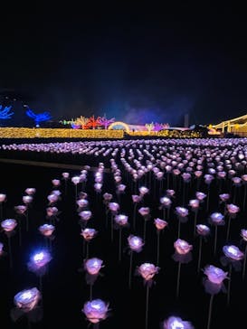 東京メガイルミに投稿された画像（2020/12/12）