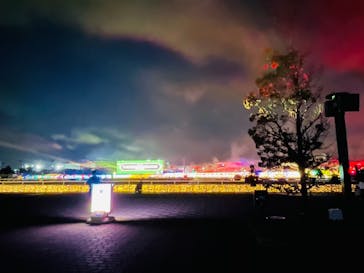 東京メガイルミに投稿された画像（2020/12/12）