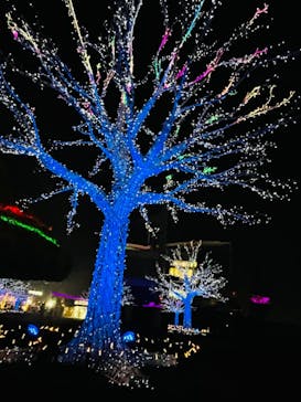 東京メガイルミに投稿された画像（2020/12/12）