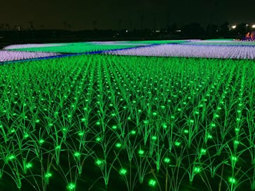 東京メガイルミに投稿された画像（2020/12/12）