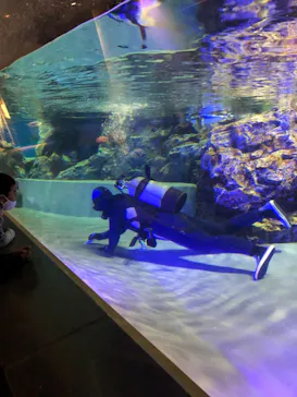 すみだ水族館に投稿された画像（2020/12/12）
