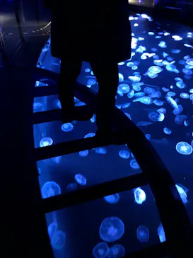 すみだ水族館に投稿された画像（2020/12/12）