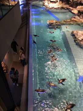 すみだ水族館に投稿された画像（2020/12/12）