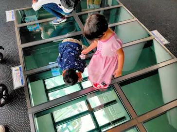 東京スカイツリーに投稿された画像（2020/12/12）