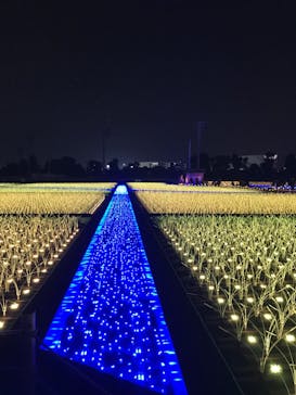 東京メガイルミに投稿された画像（2020/12/12）
