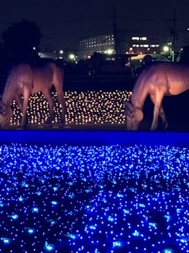東京メガイルミに投稿された画像（2020/12/12）