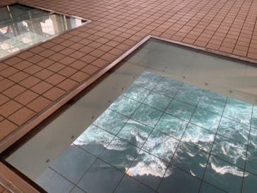 徳島県立 渦の道に投稿された画像（2020/12/12）