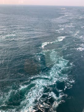 徳島県立 渦の道に投稿された画像（2020/12/12）