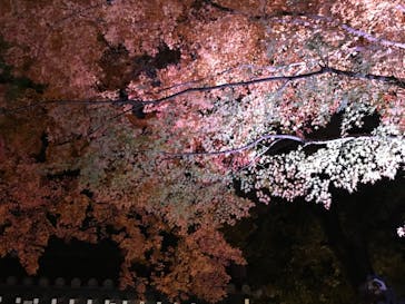 よみうりランド HANA･BIYORIに投稿された画像（2020/12/12）