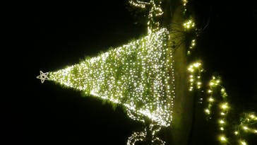 丹波市立薬草薬樹公園　丹波の湯に投稿された画像（2020/12/12）