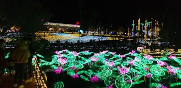 美らヤシパークオキナワ・東南植物楽園に投稿された画像（2020/12/13）