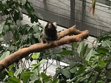 神戸どうぶつ王国に投稿された画像（2020/12/13）