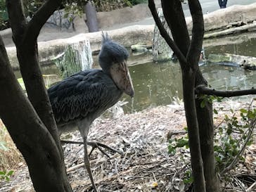 神戸どうぶつ王国に投稿された画像（2020/12/13）