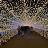 東京メガイルミに投稿された画像（2020/12/13）