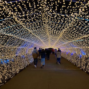 東京メガイルミに投稿された画像（2020/12/13）